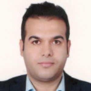 حسن آرین پور