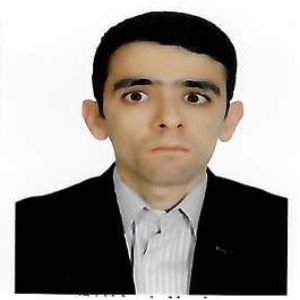 رضا پیروزه