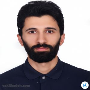 وکیل پایه یک دادگستری ناصر پرویزی حور