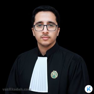 کارآموز وکالت میثم امیرزاده